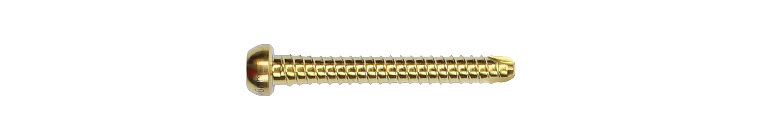 &Phi;4.5 Holding Type Double Thread Locking Screw