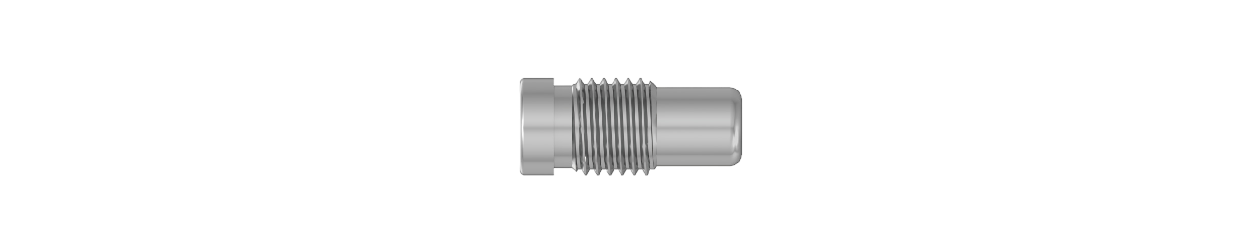 Locking End Cap