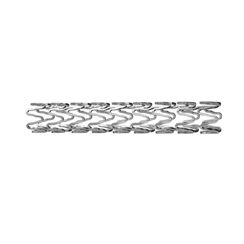 Biodegradable cardiovascular stent and clinical education resources