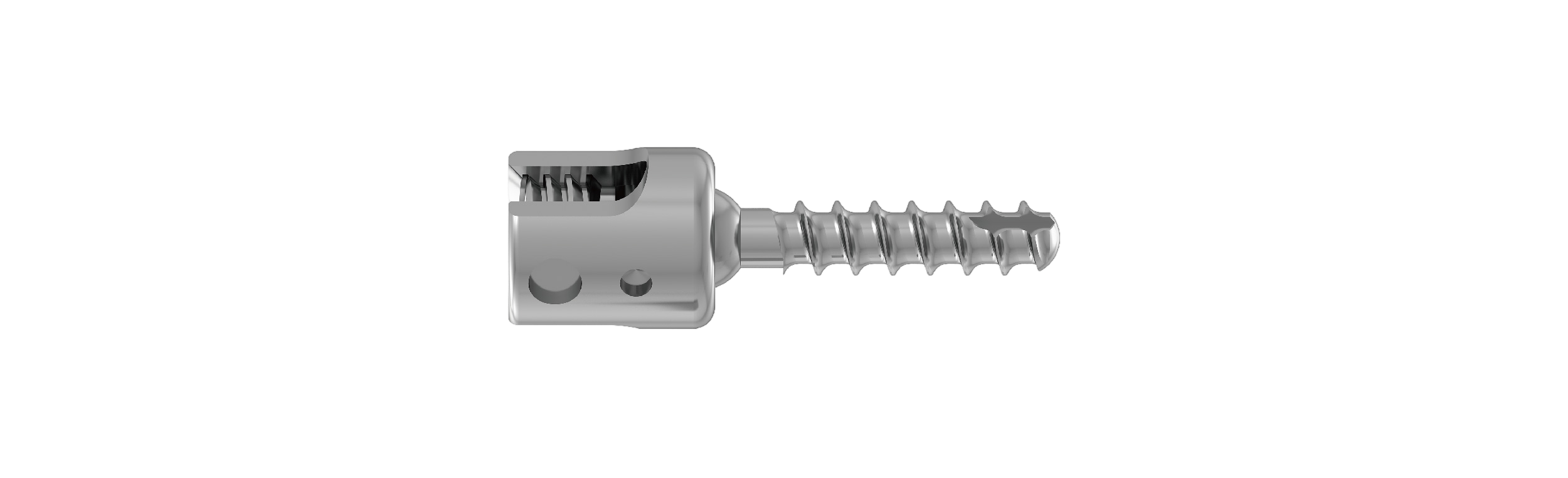 Multiaxial Pedicle Screw