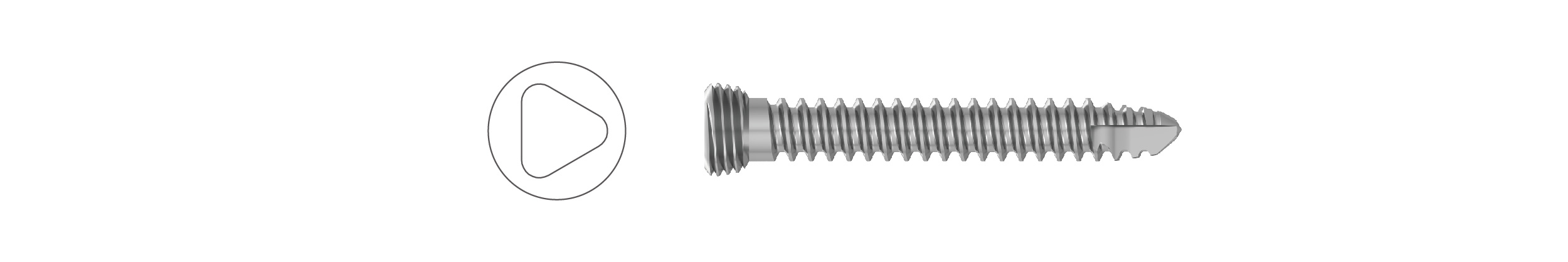 Locking & Bone Fracture Screw Series